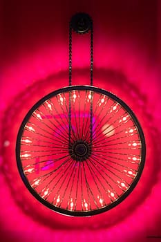 wheelight fuchsia